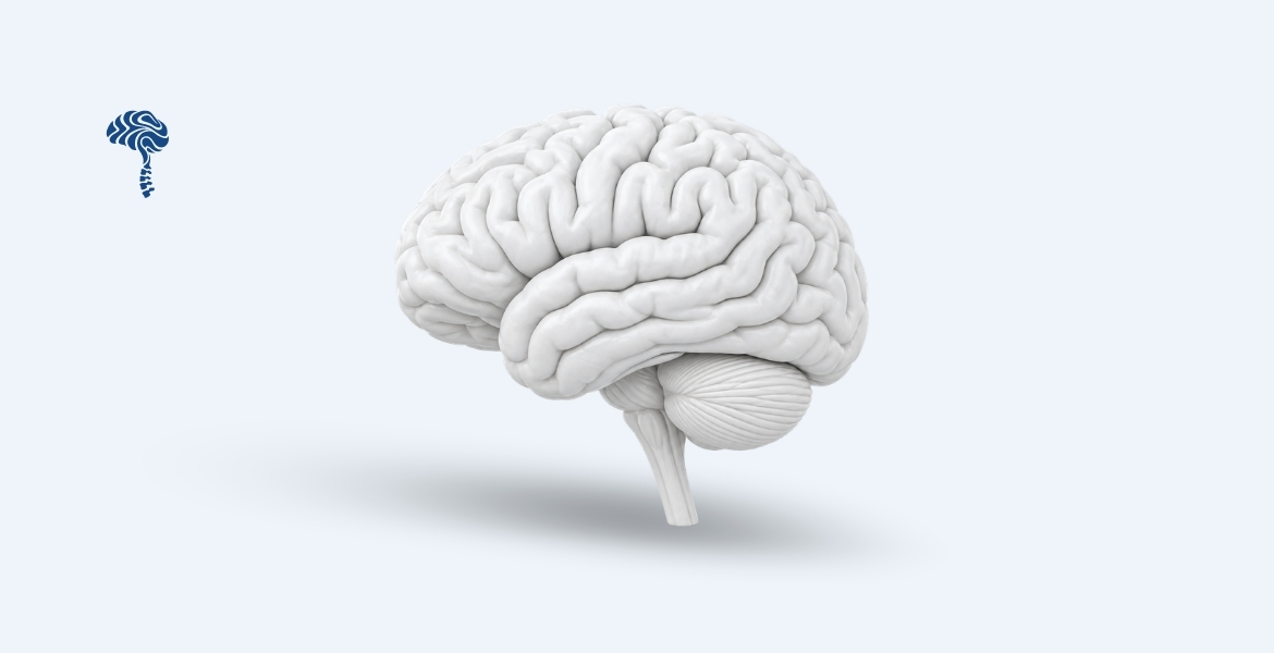 Neurology