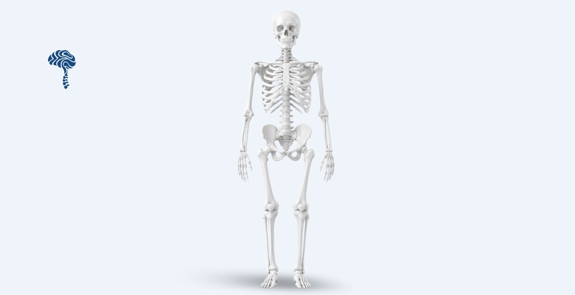 Orthopaedics