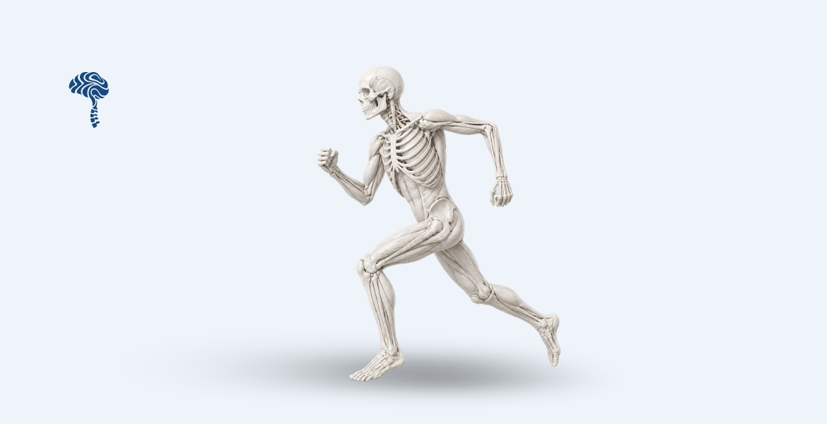 Rehabilitation & Physiotherapy
